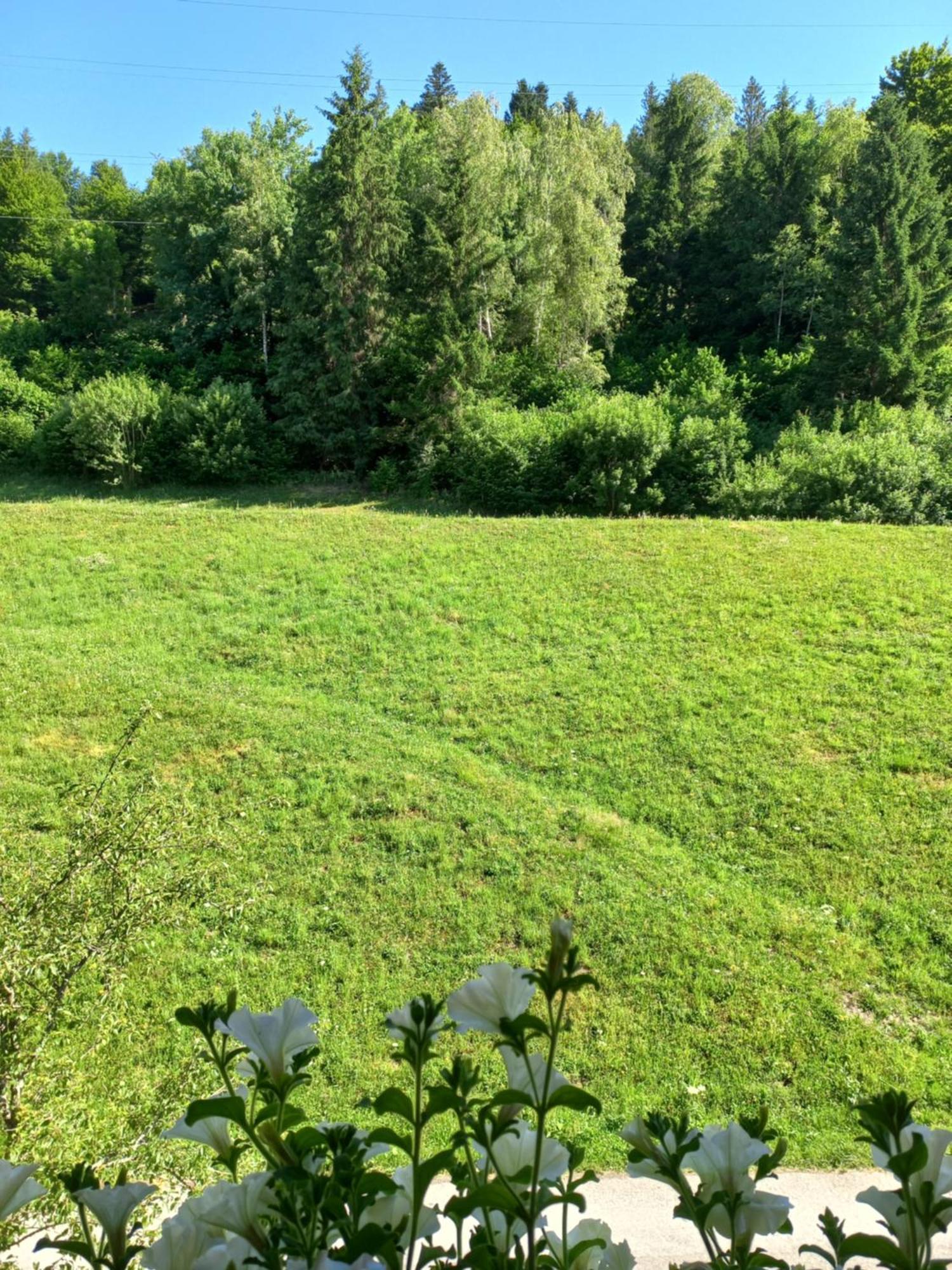 Appartement Landhof Kreuzsalgut à Wagrain Extérieur photo