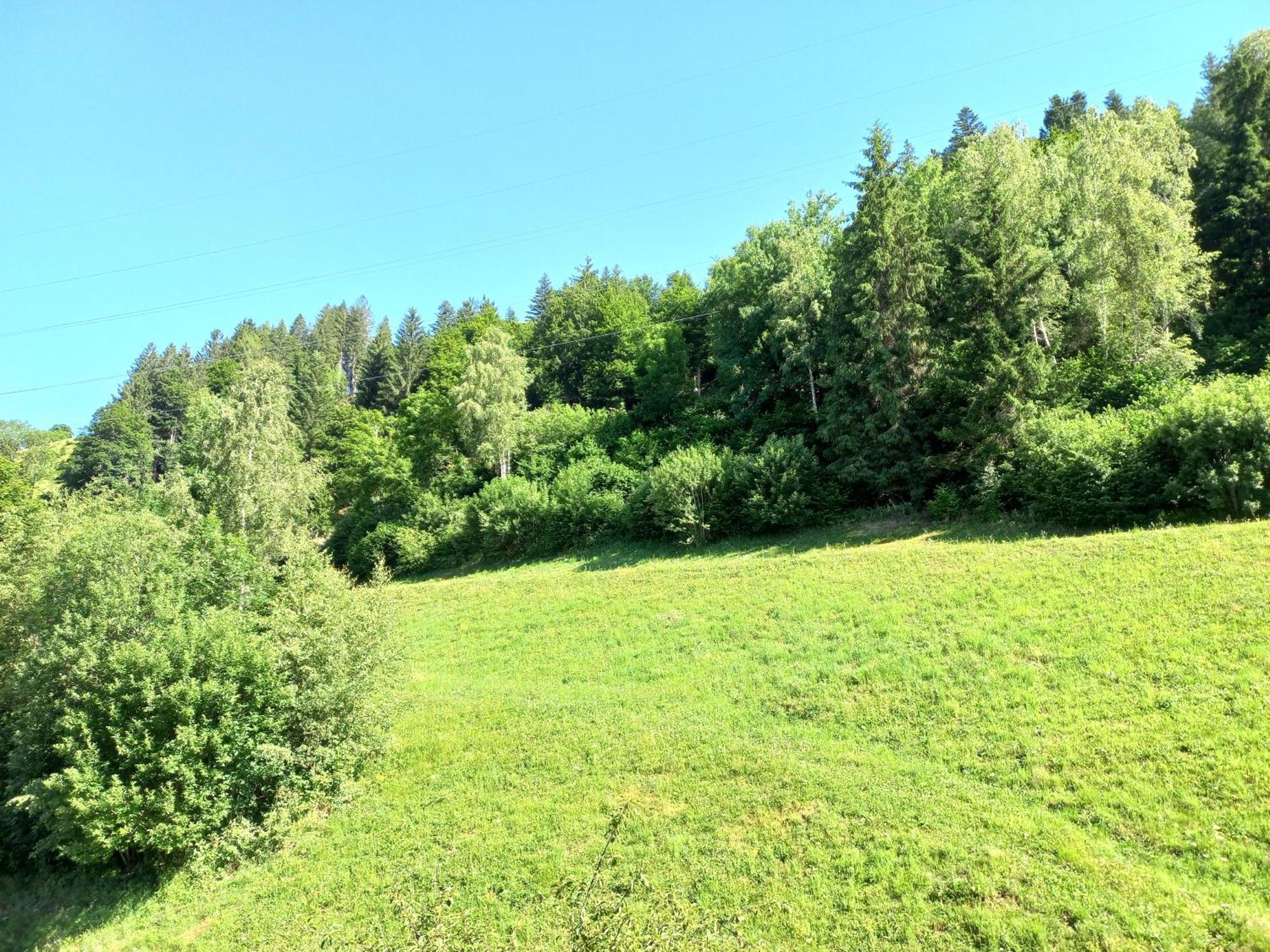 Appartement Landhof Kreuzsalgut à Wagrain Extérieur photo